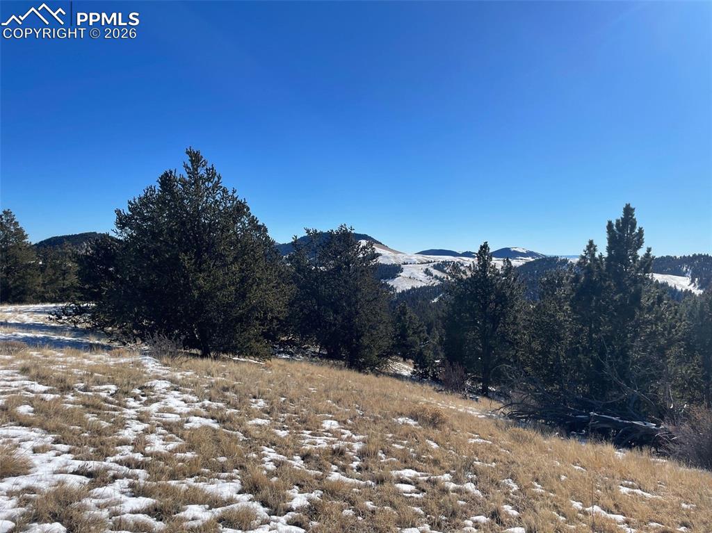 13 Buckhorn Trail Guffey CO 80820