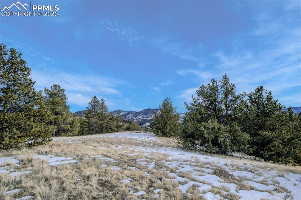 13 Buckhorn Trail Guffey CO 80820