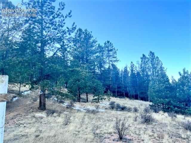 233 Rabbil Creek Drive Florissant CO 80816