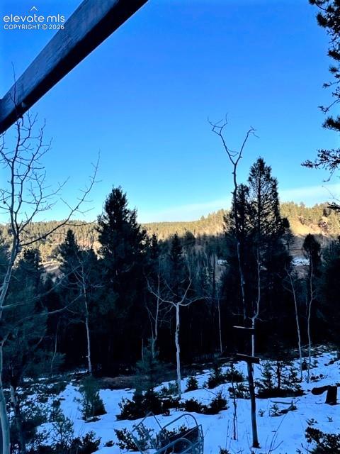 233 Rabbil Creek Drive Florissant CO 80816