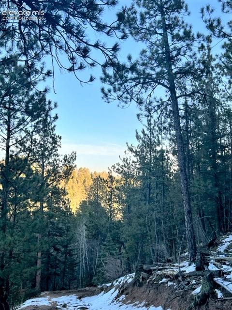 233 Rabbil Creek Drive Florissant CO 80816