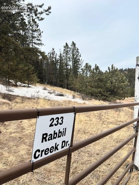 233 Rabbil Creek Drive Florissant CO 80816