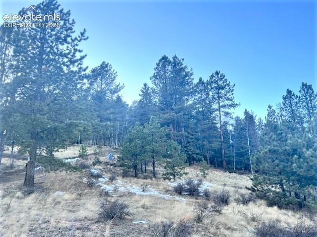 233 Rabbil Creek Drive Florissant CO 80816