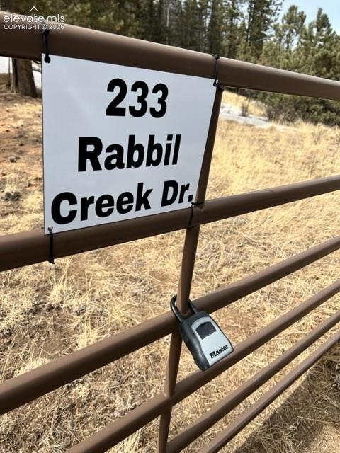 233 Rabbil Creek Drive Florissant CO 80816