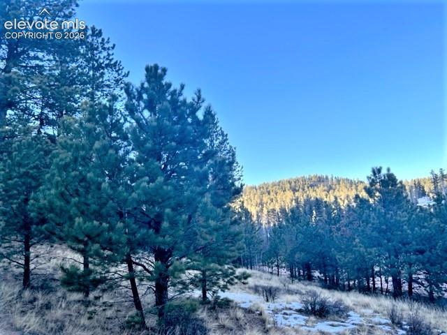233 Rabbil Creek Drive Florissant CO 80816