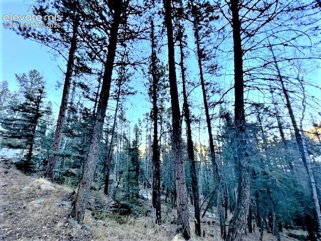 233 Rabbil Creek Drive Florissant CO 80816