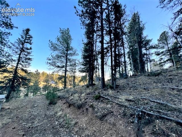 233 Rabbil Creek Drive Florissant CO 80816