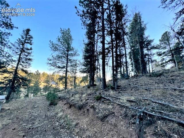 233 Rabbil Creek Drive Florissant CO 80816
