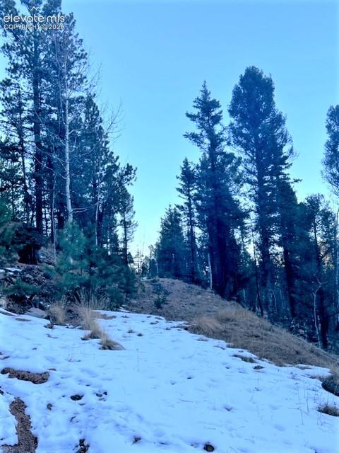 233 Rabbil Creek Drive Florissant CO 80816