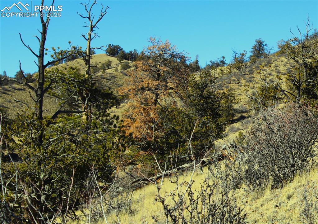 697 Summit Road Hartsel CO 80449