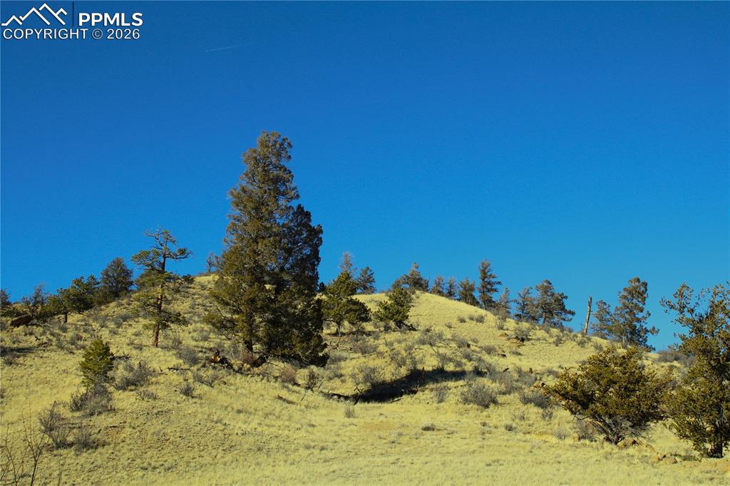 697 Summit Road Hartsel CO 80449