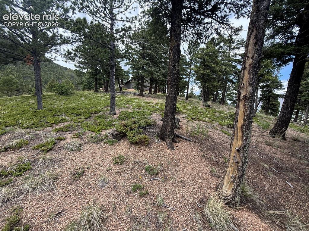 254 Grand Horizon View Manitou Springs CO 80829