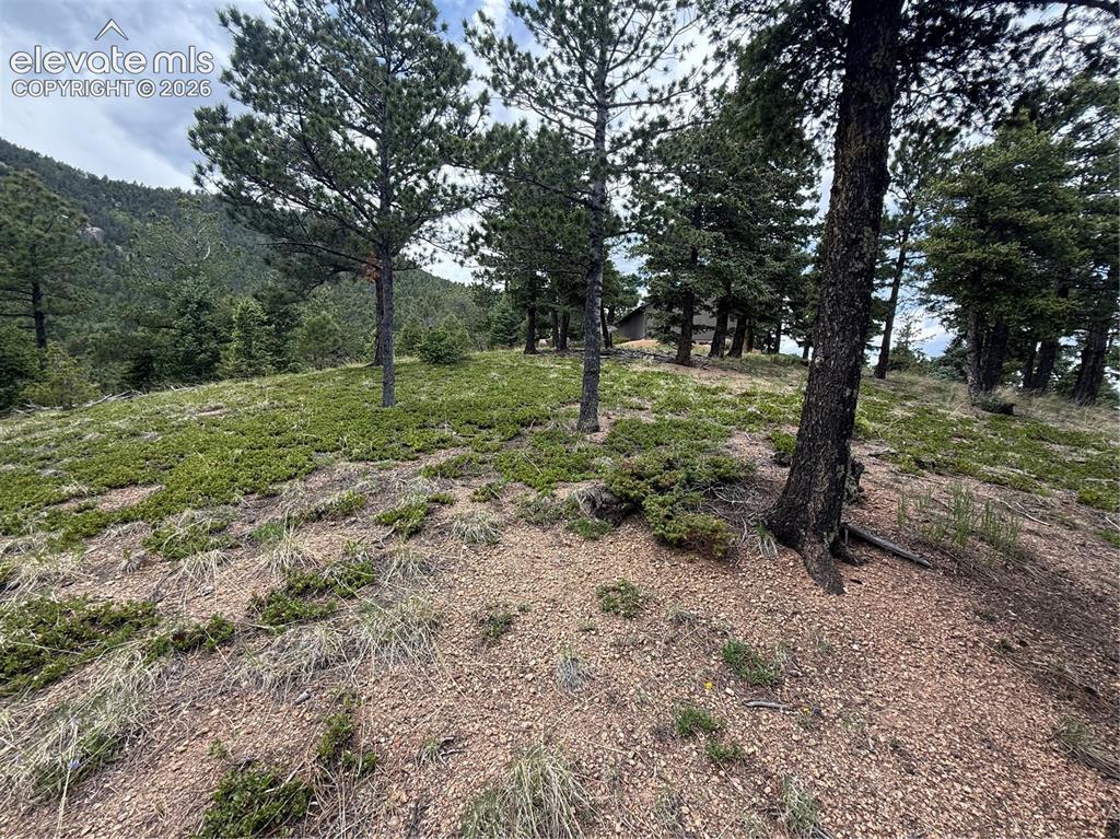 254 Grand Horizon View Manitou Springs CO 80829