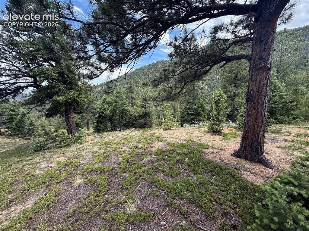 254 Grand Horizon View Manitou Springs CO 80829