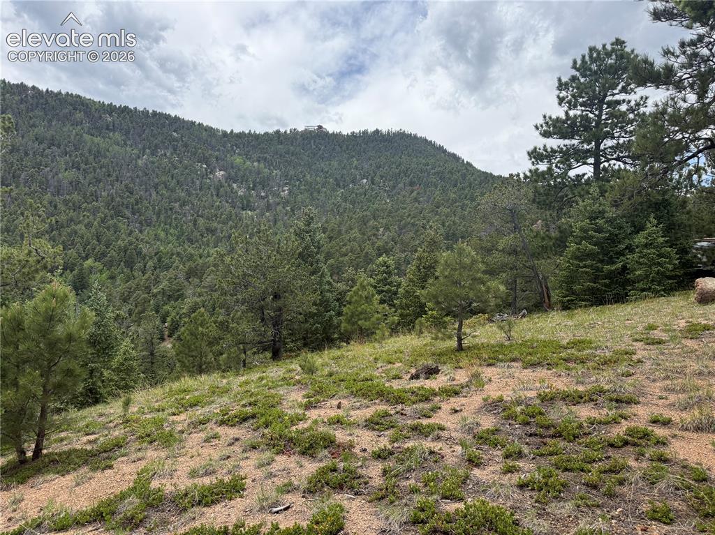254 Grand Horizon View Manitou Springs CO 80829
