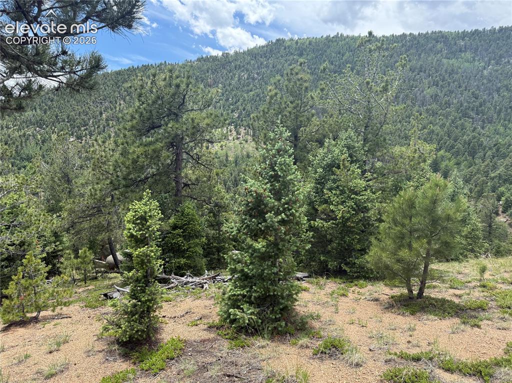 254 Grand Horizon View Manitou Springs CO 80829