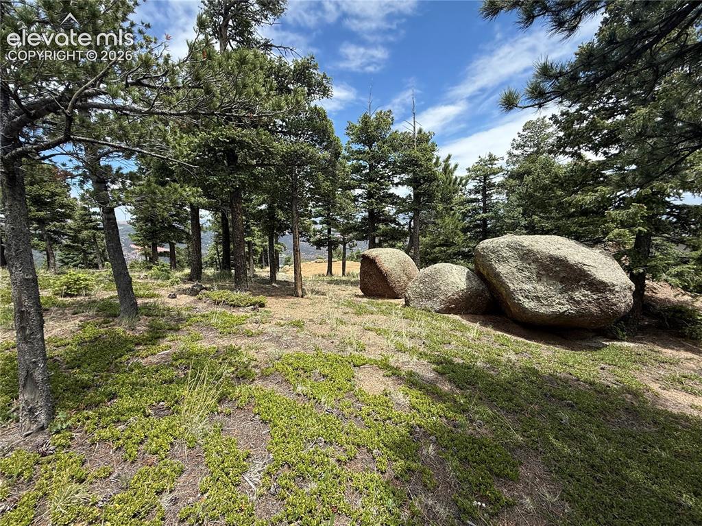 254 Grand Horizon View Manitou Springs CO 80829