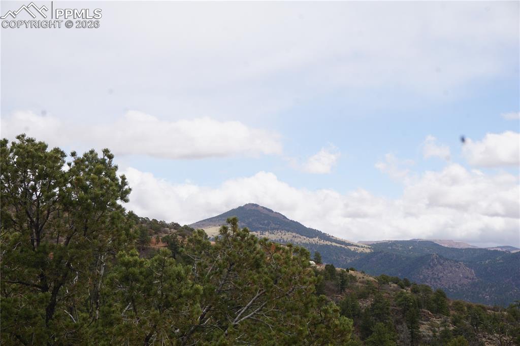 1893 Arapahoe Drive Cripple Creek CO 80813