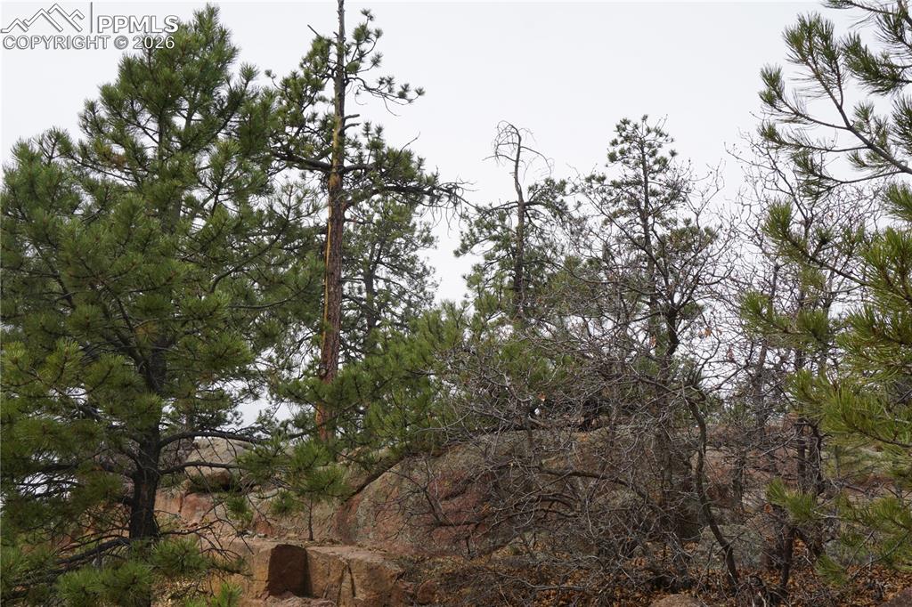 1893 Arapahoe Drive Cripple Creek CO 80813