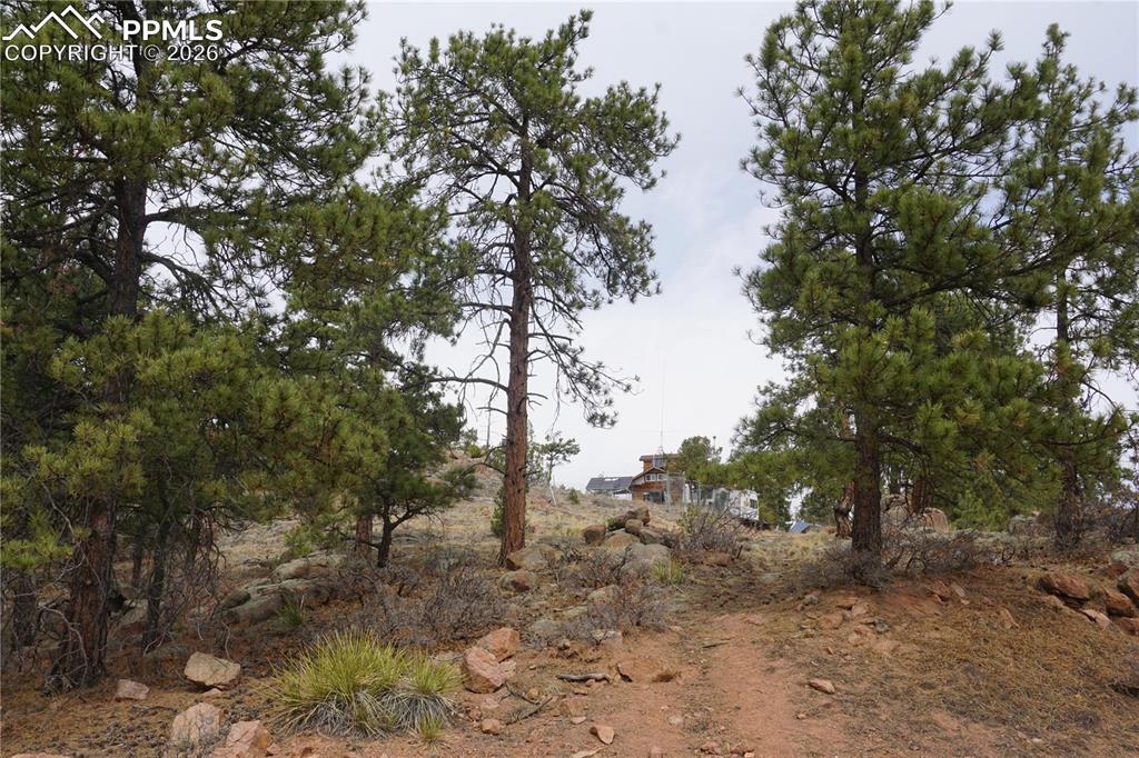 1893 Arapahoe Drive Cripple Creek CO 80813