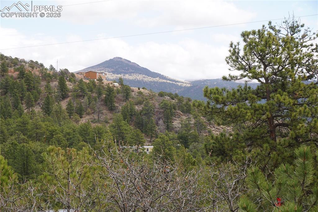 1893 Arapahoe Drive Cripple Creek CO 80813
