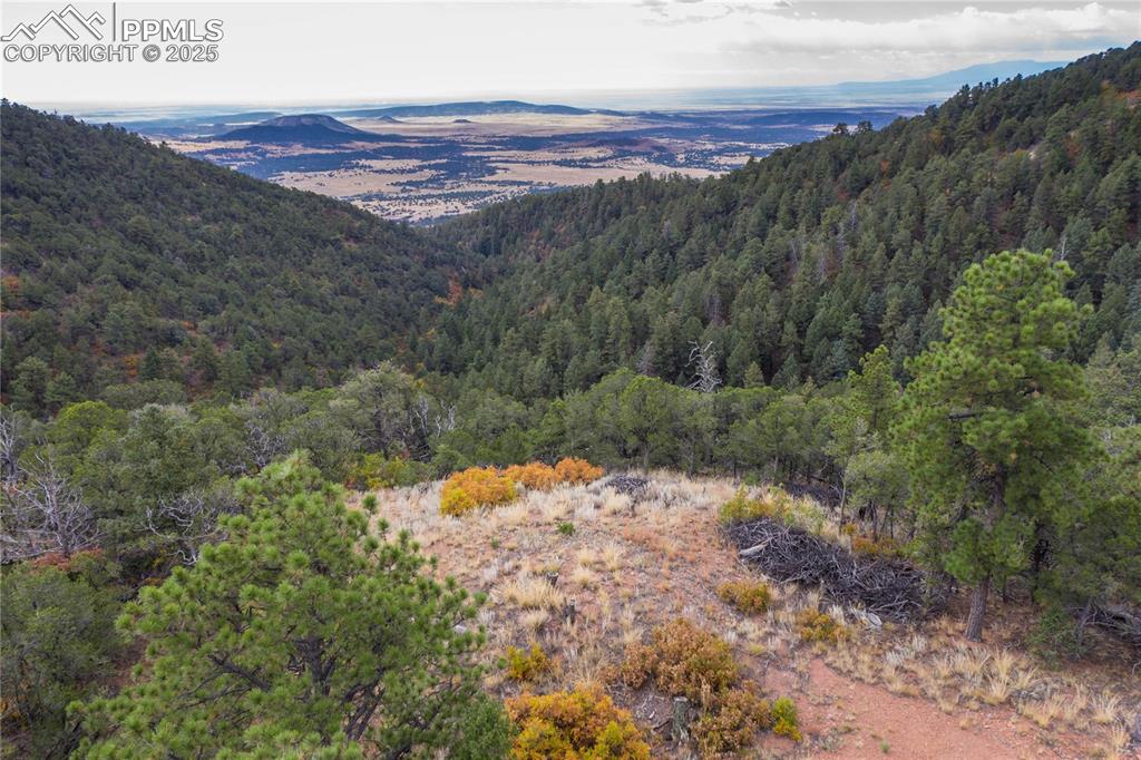 15825 Henry Ride Heights Colorado Springs CO 80926
