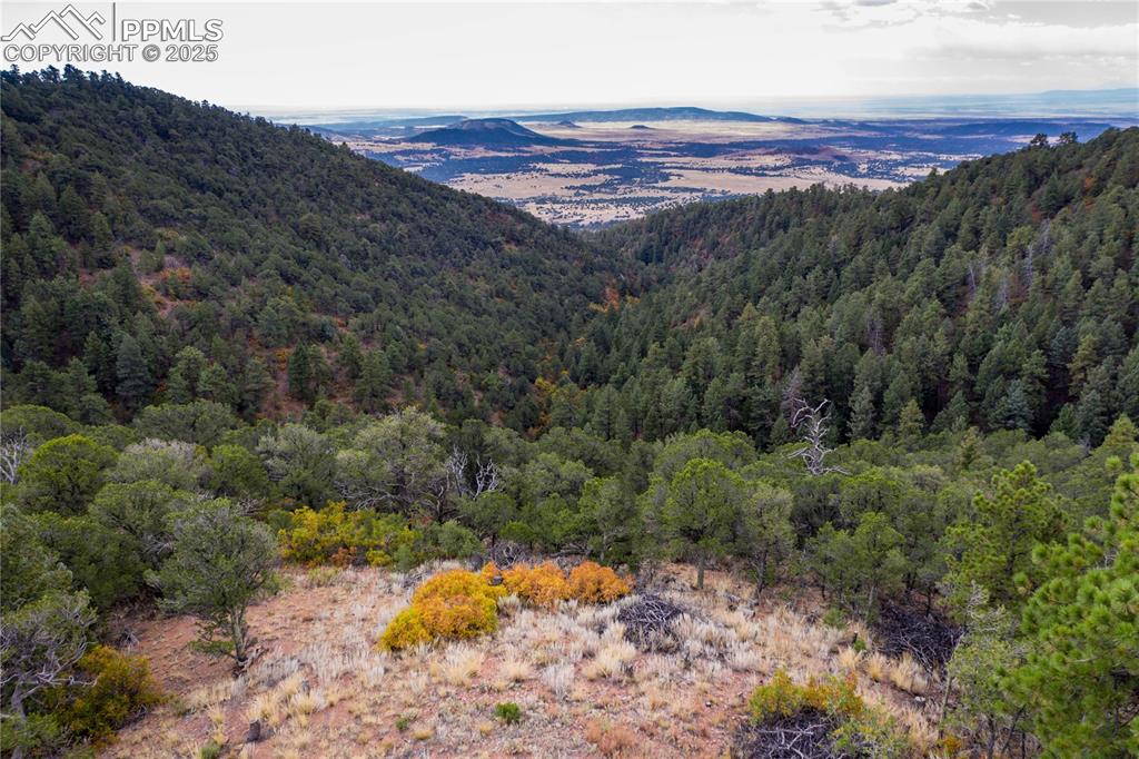 15825 Henry Ride Heights Colorado Springs CO 80926