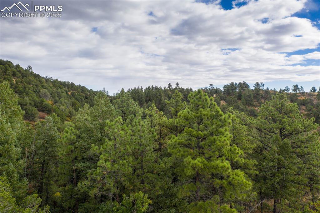 15825 Henry Ride Heights Colorado Springs CO 80926