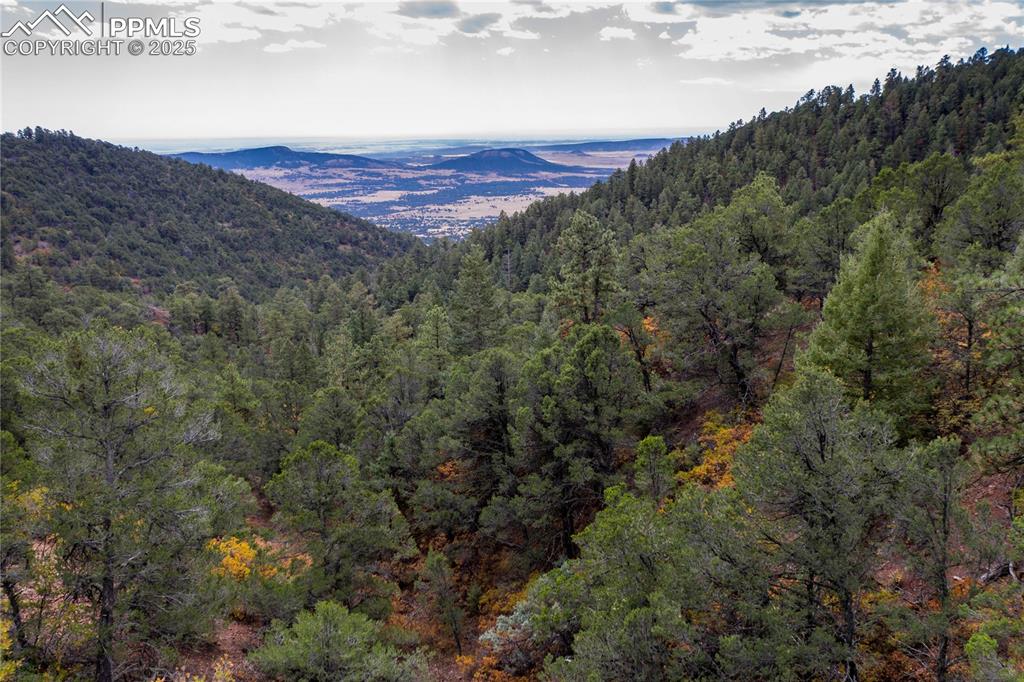 15825 Henry Ride Heights Colorado Springs CO 80926