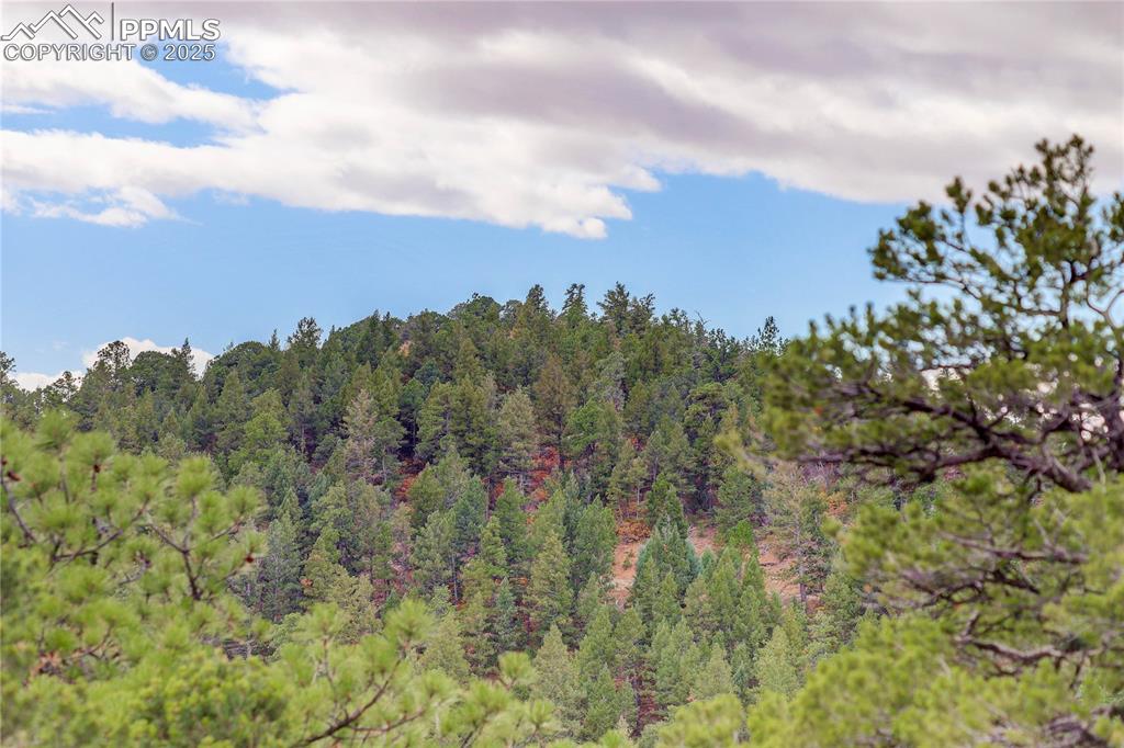 15825 Henry Ride Heights Colorado Springs CO 80926