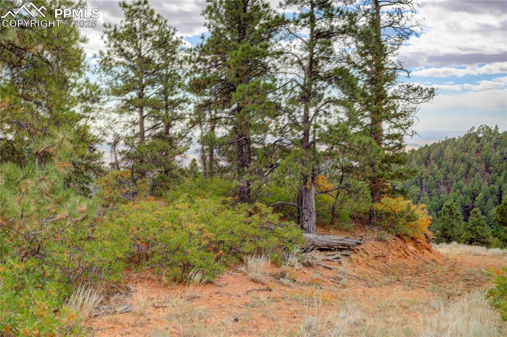 15825 Henry Ride Heights Colorado Springs CO 80926