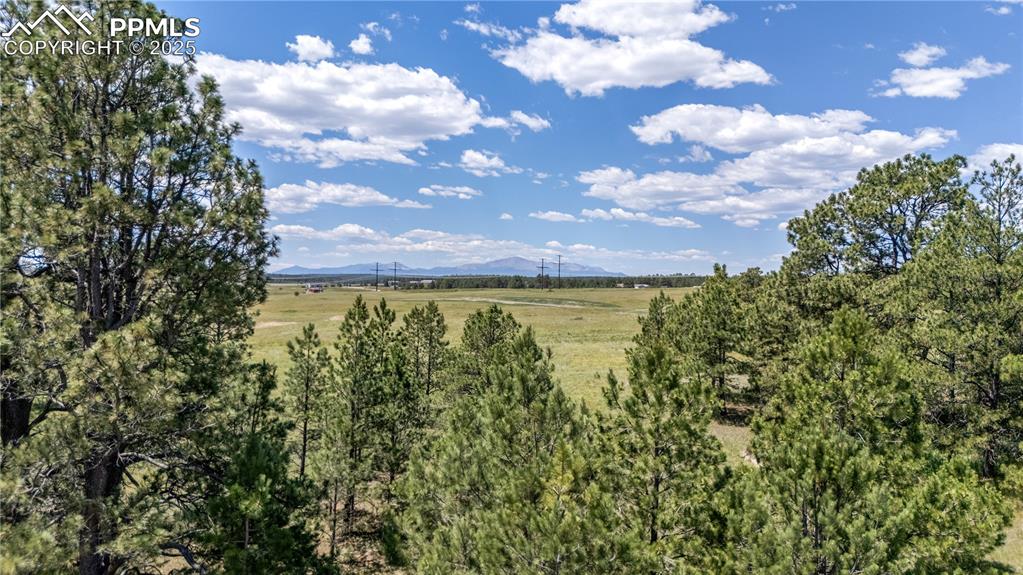 17395 Twinkling Star Lane Colorado Springs CO 80908