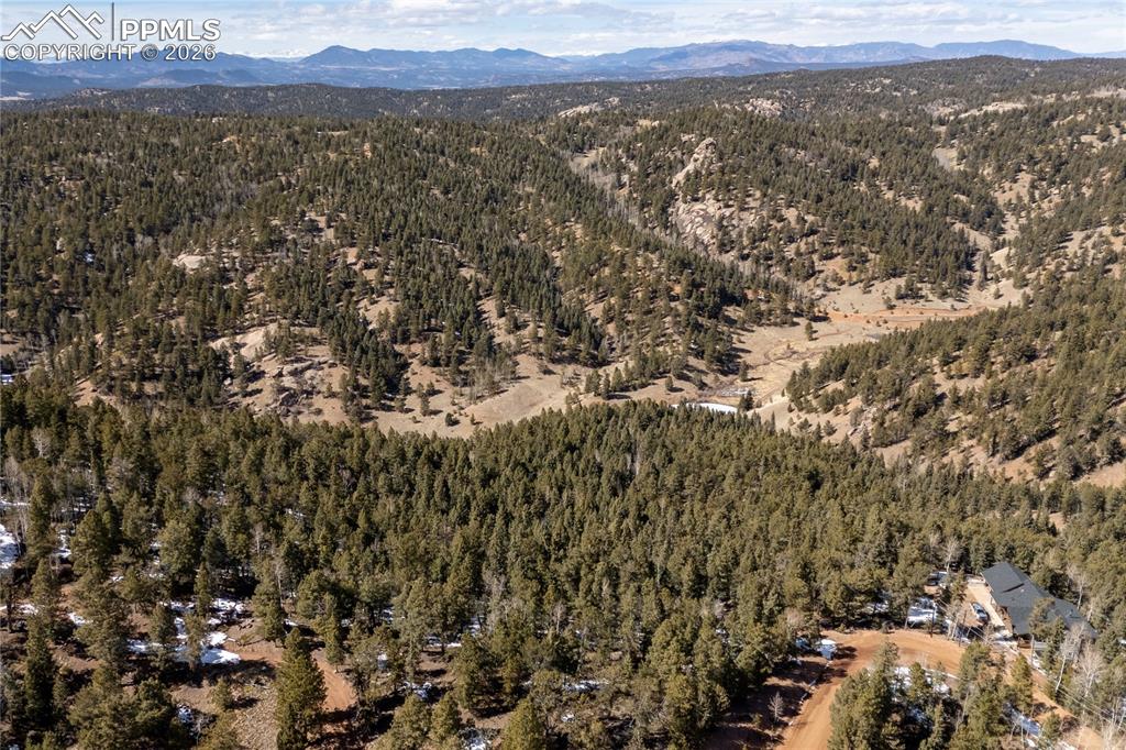 81 Haven Road Divide CO 80814