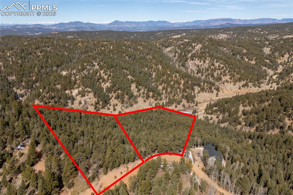 81 Haven Road Divide CO 80814