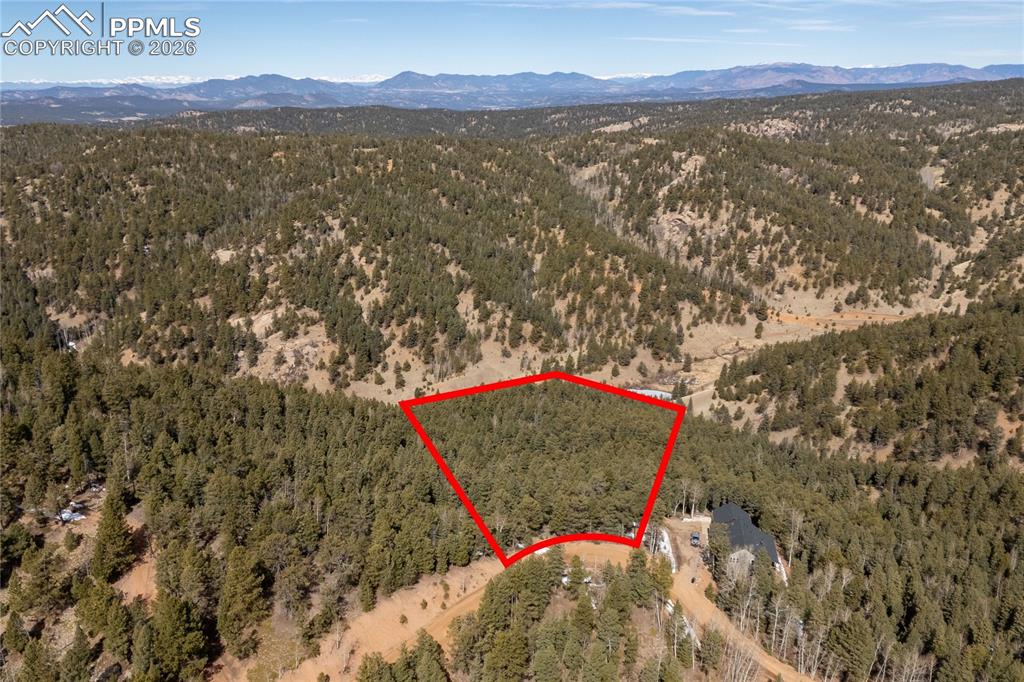 81 Haven Road Divide CO 80814
