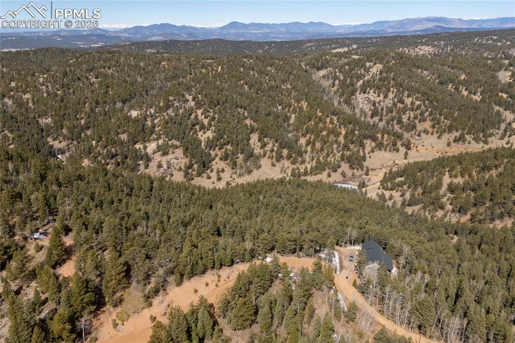 81 Haven Road Divide CO 80814