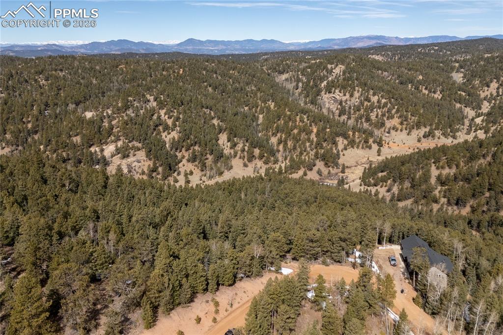 81 Haven Road Divide CO 80814
