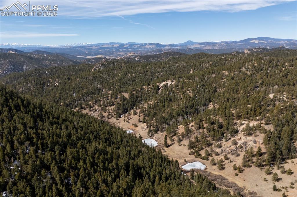 81 Haven Road Divide CO 80814