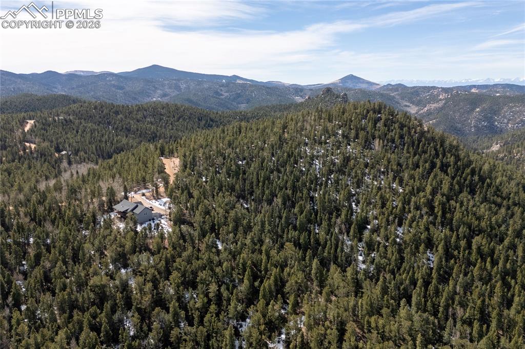 81 Haven Road Divide CO 80814