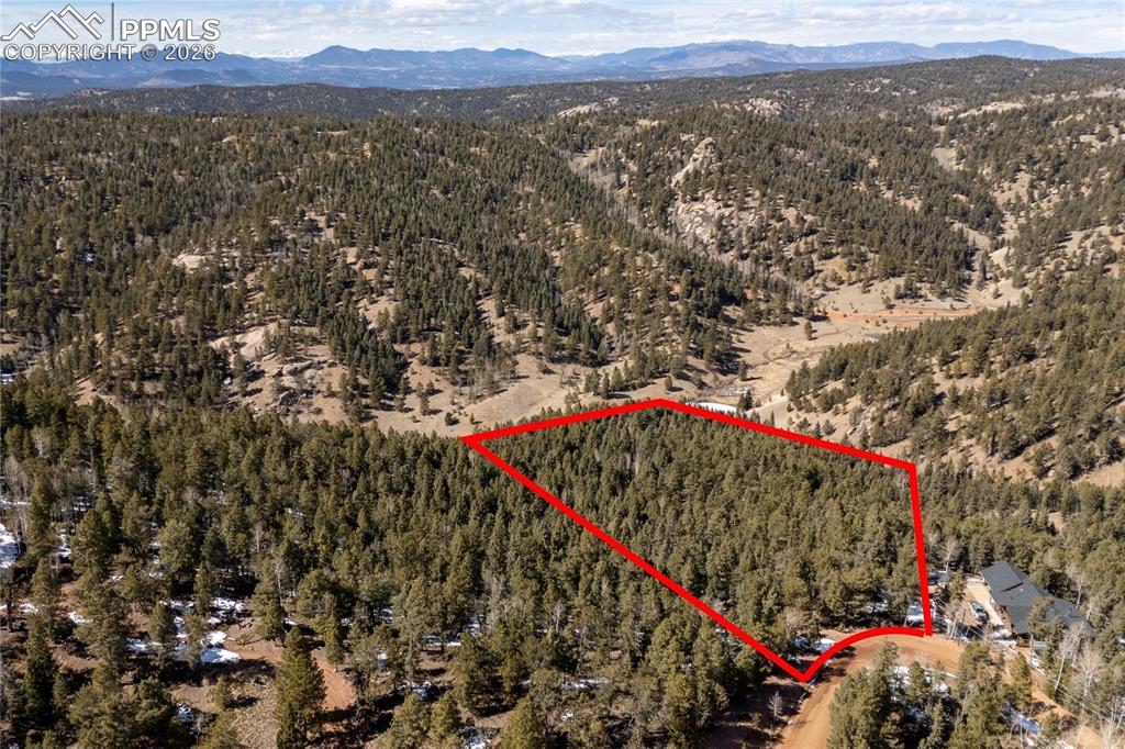 81 Haven Road Divide CO 80814