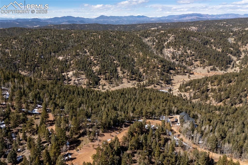 81 Haven Road Divide CO 80814