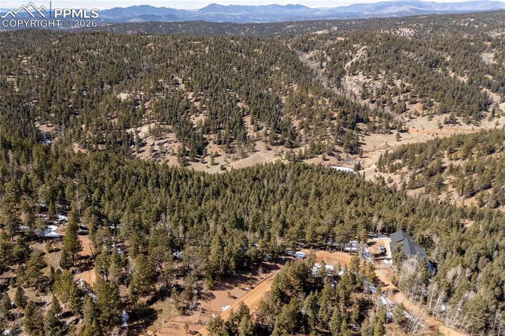 81 Haven Road Divide CO 80814