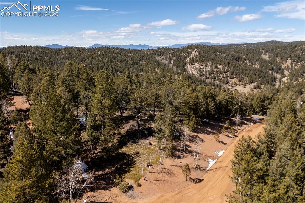 81 Haven Road Divide CO 80814