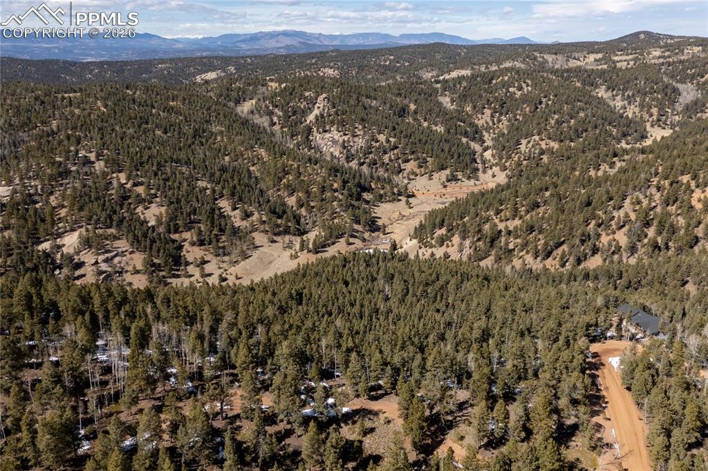 81 Haven Road Divide CO 80814