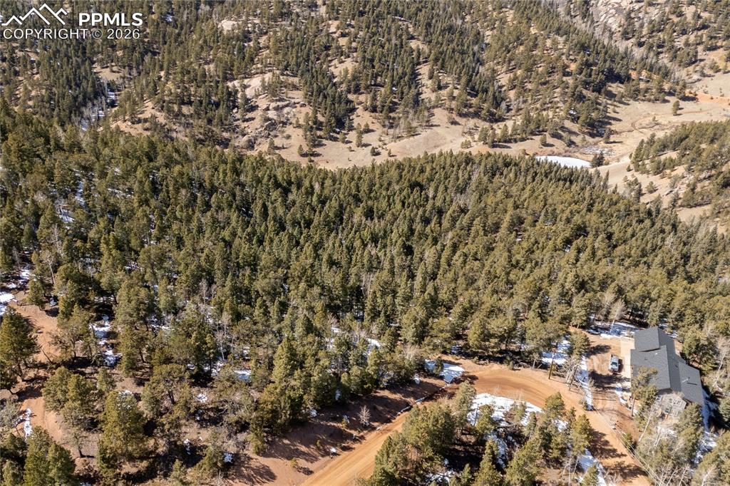 81 Haven Road Divide CO 80814