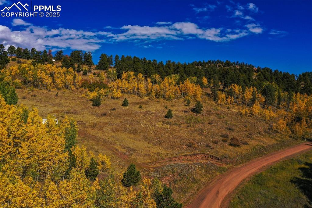 230 Penrose Circle Cripple Creek CO 80813