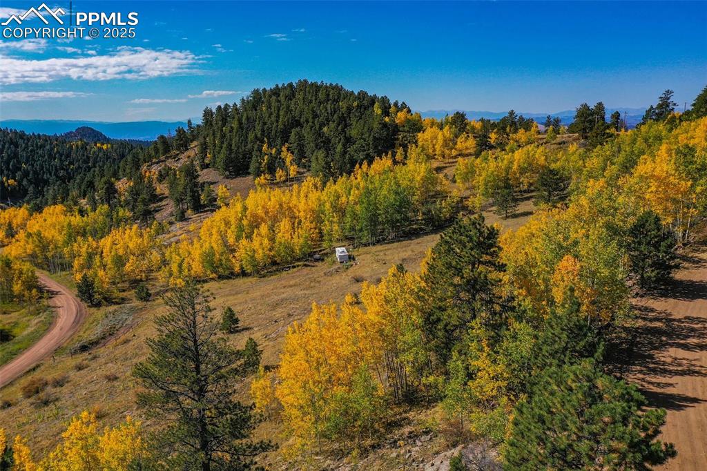 230 Penrose Circle Cripple Creek CO 80813