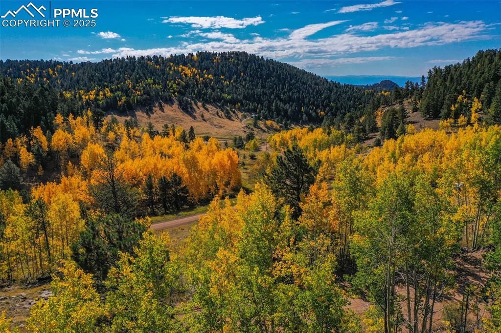 230 Penrose Circle Cripple Creek CO 80813