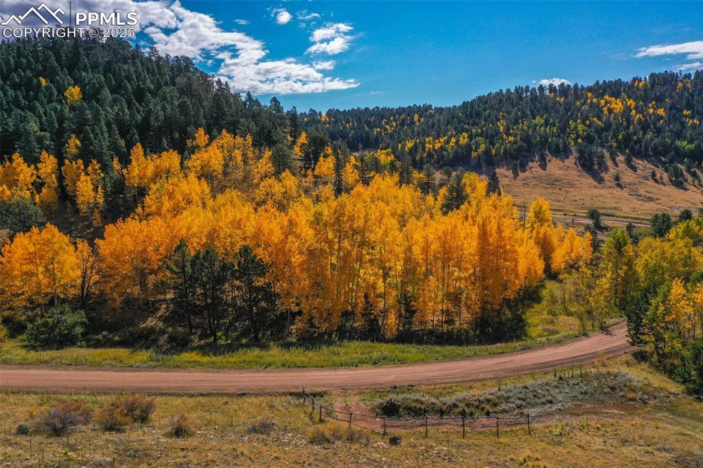 230 Penrose Circle Cripple Creek CO 80813