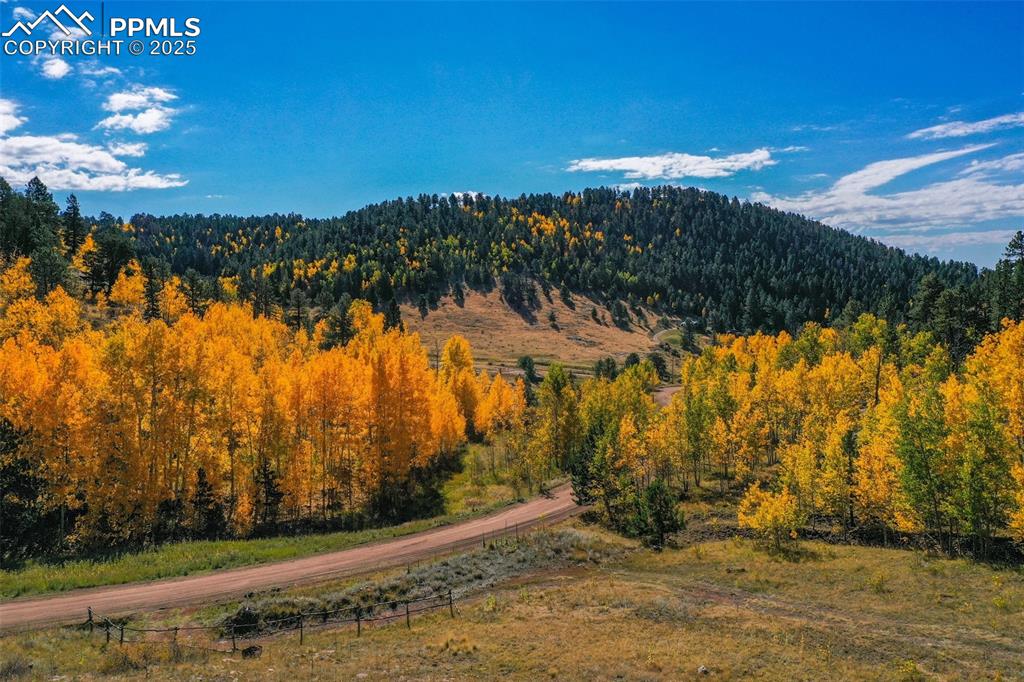 230 Penrose Circle Cripple Creek CO 80813